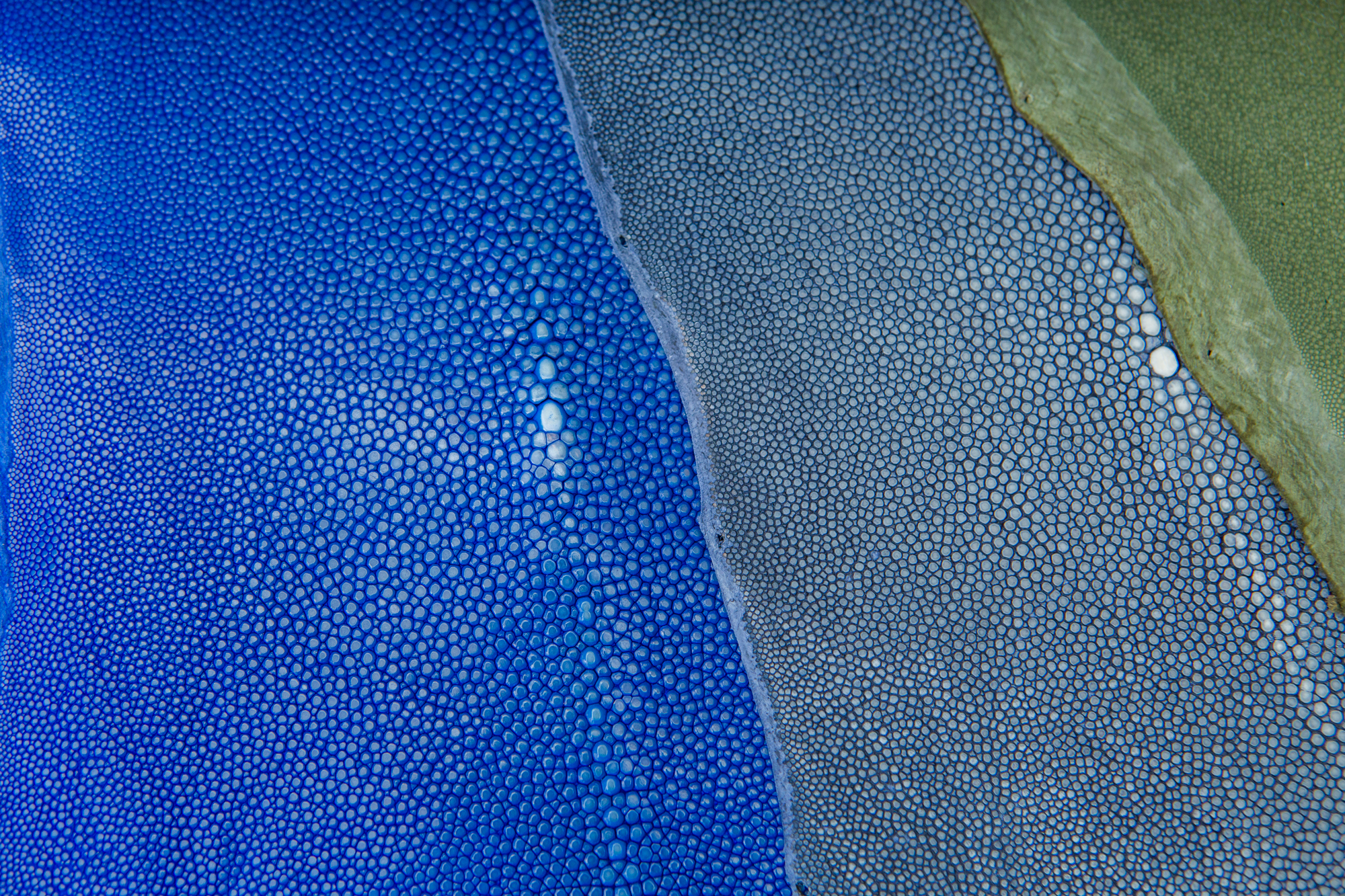 Stingray Blue