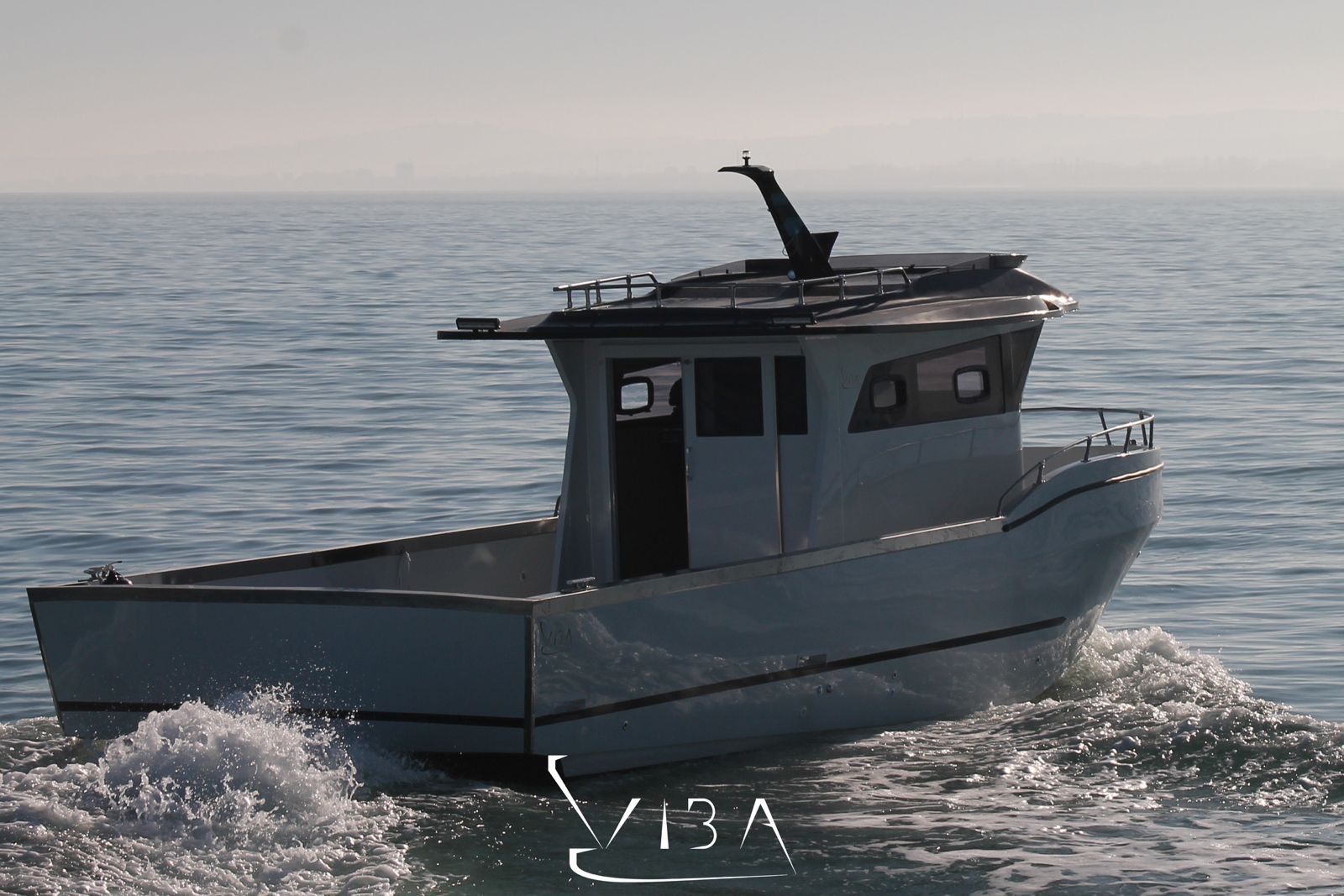 VIBA 100